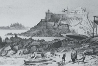 Russian Sitka