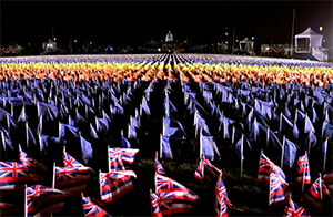 Field of Flags