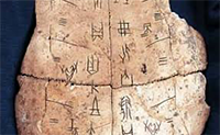 Oracle bones