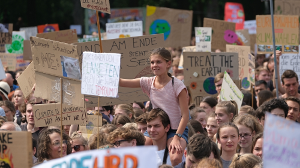 Climate strike May 2019