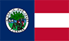 Florida Confederate flag