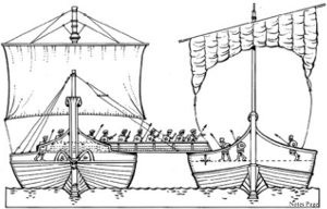 corvus