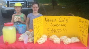 Lemonade stand