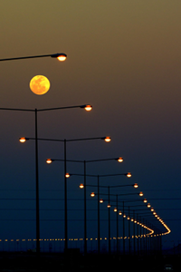 Moon over streetlights