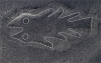 Nazca Lines fish