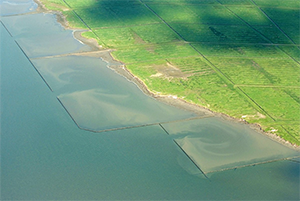 Polder
