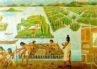 Tenochtitlan gardens