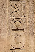 Thutmose III cartouche